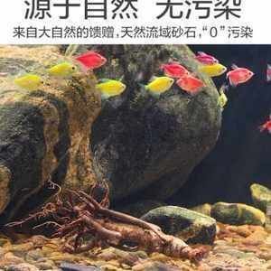 龍魚缸能放底砂嗎（龍魚缸底砂選擇技巧，底砂對龍魚健康的影響） 龍魚百科 第3張