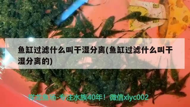 可麗愛魚缸換水流程圖視頻（如何自制魚缸換水流程圖） 龍魚百科 第5張