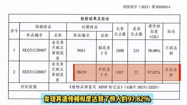 做金龍魚銷售好嗎（金龍魚品牌市場(chǎng)占有率分析）