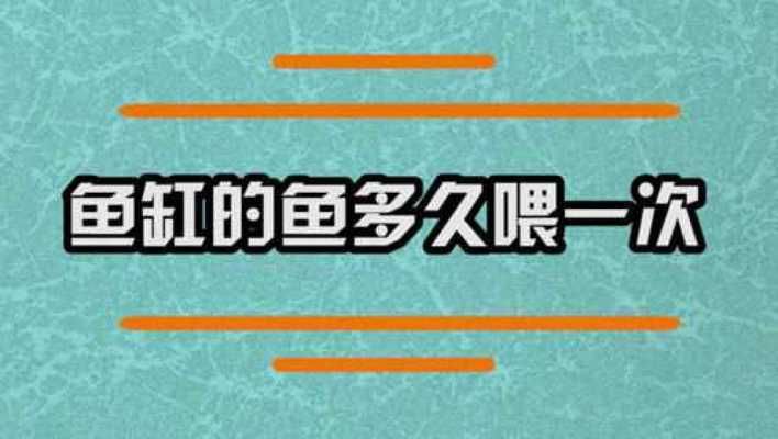 白化雷龍魚與其他品種混養(yǎng)的風(fēng)險(xiǎn)（白化雷龍魚在與其他品種魚混養(yǎng)的環(huán)境中，其生長(zhǎng)速度和健康狀況是否會(huì)出現(xiàn)問題？） 水族問答