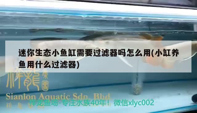 溫江欣藝豪裝飾（成都溫江欣藝豪裝飾） 水族周邊