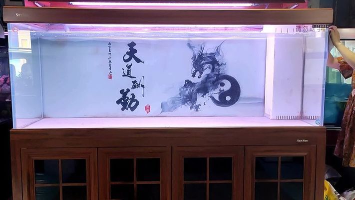 魚缸布景簡單（魚缸造景入門指南） 龍魚百科 第5張