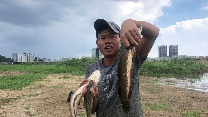 雷龍魚為什么會(huì)憑空消失（雷龍魚是否會(huì)憑空消失，它們可能會(huì)藏身于水族箱或自然環(huán)境中的隱蔽處） 龍魚百科 第5張