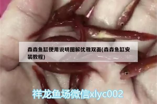 森森魚缸怎么使用視頻（森森魚缸智能控制面板操作如何維護森森魚缸）