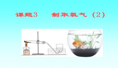 龍魚缸牌子bz（佳寶魚缸防干燒功能介紹閩江水族免換水技術(shù)解析）