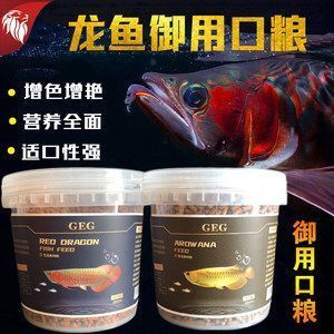 龍魚魚食怎么消毒的（龍魚食冷凍消毒注意事項(xiàng)）