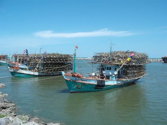 最好的龍魚(yú)燈是什么燈（2024年龍魚(yú)燈品牌排行榜：led燈和熒光燈對(duì)比分析） 龍魚(yú)百科 第1張