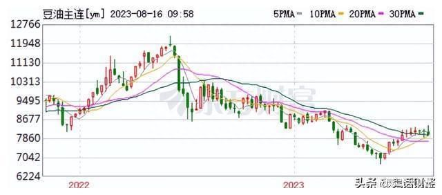 龍魚價(jià)格下跌了嗎（龍魚價(jià)格是否下跌） 龍魚百科 第1張