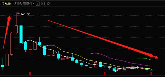 金龍魚為何跌跌不休2月（金龍魚股價(jià)下跌原因詳細(xì)分析金龍魚股價(jià)下跌原因）