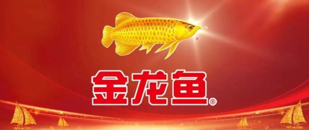 金龍魚為何跌跌不休2月（金龍魚股價下跌原因詳細分析金龍魚股價下跌原因） 龍魚百科 第5張