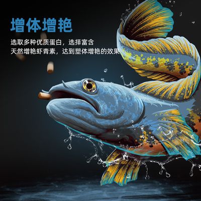 雷龍魚(yú)飼料選擇指南 龍魚(yú)百科 第4張