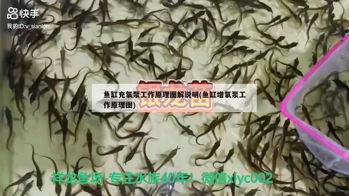 黑云魚養(yǎng)殖溶氧設(shè)備選擇，