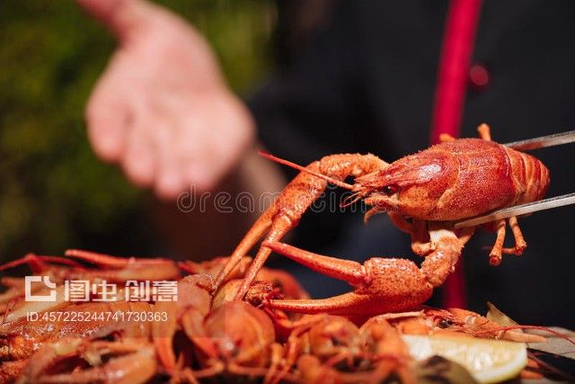 龍魚可以吃小龍蝦嗎，龍魚可以食用小龍蝦嗎 龍魚百科 第4張