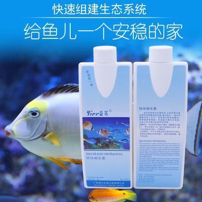 龍魚可不可以和戰(zhàn)船混養(yǎng)，龍魚和戰(zhàn)船魚可以一起養(yǎng)，但需要注意關(guān)鍵點(diǎn)