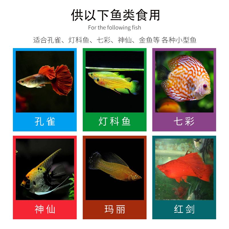 七彩神仙魚繁殖期飼料選擇，七彩神仙魚繁殖期飼料品牌推薦 龍魚百科 第2張