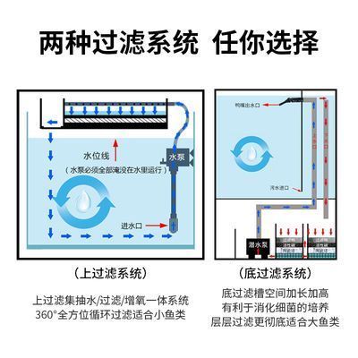 龍魚缸水位高度標準，龍魚缸水位高度標準是多少 龍魚百科 第2張