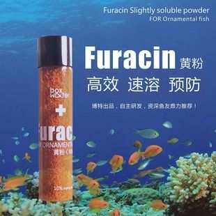 龍魚爛尾用什么藥效果好，治療龍魚爛尾的藥物 龍魚百科 第2張