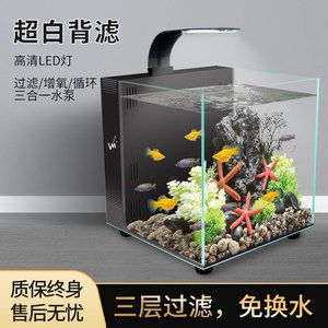 馬來西亞龍魚和新加坡龍魚的區(qū)別圖片對(duì)比，-馬來西亞龍魚和新加坡龍魚的區(qū)別