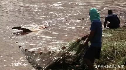 巨骨舌魚棲息地保護(hù)現(xiàn)狀，亞馬遜河流域生態(tài)保護(hù)進(jìn)展巨骨舌魚人工繁殖技術(shù)研究 龍魚百科 第2張