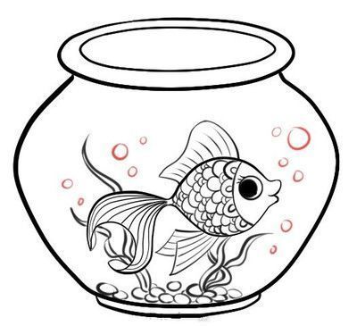 龍魚(yú)跟虎魚(yú)養(yǎng)的寓意一樣嗎，龍魚(yú)和虎魚(yú)在風(fēng)水中代表著什么？