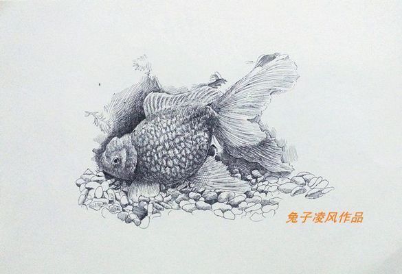 龍魚繪畫取名大全，龍魚繪畫取名大全涵蓋了多種風格和主題 龍魚百科 第1張