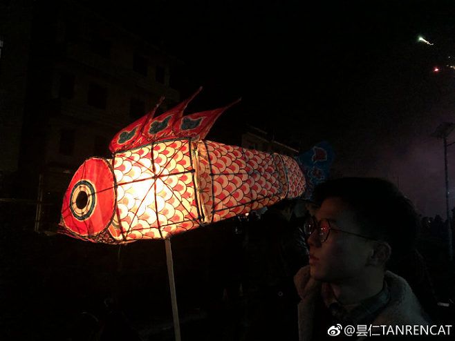 吉印龍魚燈怎么樣，吉印龍魚燈與其他品牌對(duì)比吉印龍魚燈的智能控制功能介紹 龍魚百科 第4張