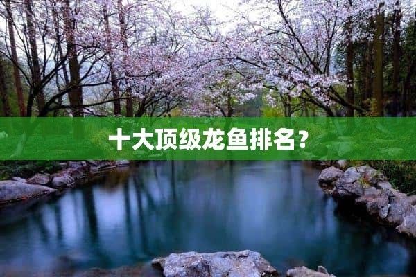 龍魚論壇哪個(gè)好， 龍魚百科 第4張