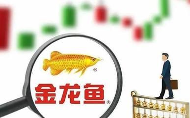 金龍魚 日資，金龍魚上市與資本市場表現(xiàn)分析 龍魚百科 第5張