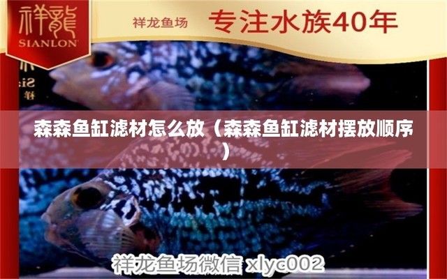 森森魚缸過濾器擺放濾材的順序圖，森森過濾器濾材品牌推薦