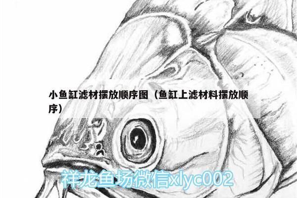 森森魚缸過濾器擺放濾材的順序圖，森森過濾器濾材品牌推薦 龍魚百科 第6張