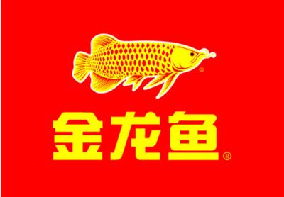 銀龍魚爛肉怎么辦，銀龍魚為什么會(huì)爛肉？