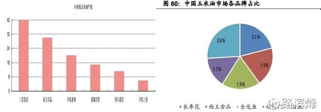 金龍魚真正的價值投資，金龍魚公司具備明顯的競爭優(yōu)勢和發(fā)展?jié)摿?></a></span><p class=