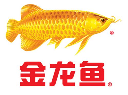 金龍魚未來增長潛力，金龍魚預(yù)制菜市場規(guī)模有望在未來幾年內(nèi)達到萬億級別 龍魚百科 第4張