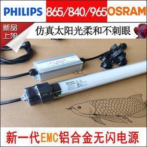 恐龍魚可以活多久，六角恐龍魚的壽命通常較長，可以活到60歲以上 龍魚百科 第2張