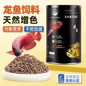 點金龍魚吃什么最好，點金龍魚增色飼料品牌推薦，點金龍魚適量喂養(yǎng)指南 龍魚百科 第2張