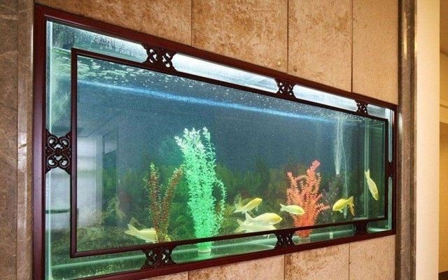 中山龍魚水族科技有限公司電話號碼查詢，中山龍魚水族科技有限公司電話號碼查詢服務