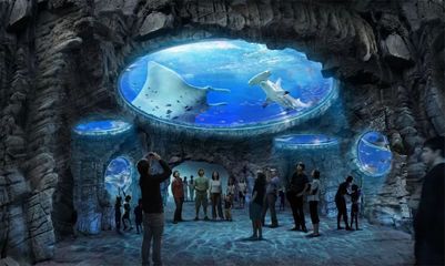 銀川水族館，寧夏銀川水族館特色動物介紹鴻森水族館門票價格及開放時間 龍魚百科 第5張