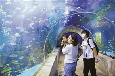 銀川水族館，寧夏銀川水族館特色動物介紹鴻森水族館門票價格及開放時間 龍魚百科 第4張