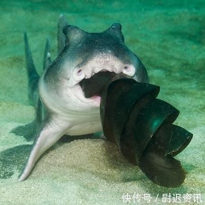 錫林浩特市傲龍水族館，錫林浩特傲龍水族館