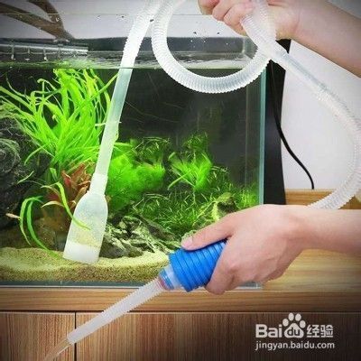 魚缸水很多泡泡是什么原因，如何調(diào)節(jié)魚缸水溫的有效方法