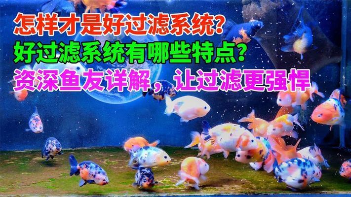 怎樣判斷魚缸過濾好不好，判斷魚缸過濾效果好壞，魚缸水質(zhì)檢測工具購買指南 龍魚百科 第4張