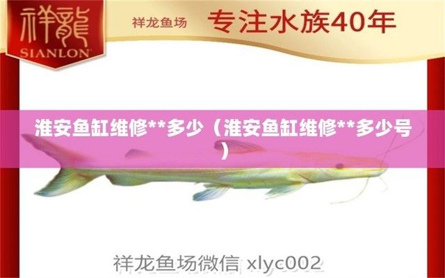 專業(yè)維修魚缸，魚缸漏水維修技巧 龍魚百科 第3張