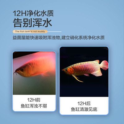 魚缸濾材什么牌子好，魚缸濾材品牌性價(jià)比對(duì)比森森濾材品牌性價(jià)比對(duì)比森森濾材