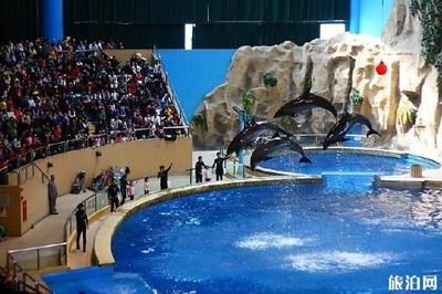 石家莊水族館，河北石家莊海洋公園開放時間：石家莊海洋公園開放時間