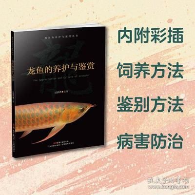 龍魚的養(yǎng)護與鑒賞，龍魚養(yǎng)護與鑒賞方法