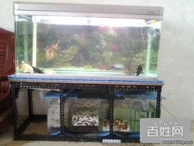 森森魚缸質(zhì)保多長時(shí)間，森森魚缸漏水常見原因及解決森森魚缸用戶評價(jià)匯總