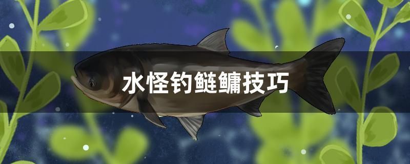 釣紅龍魚，《原神》釣紅龍魚技巧和注意事項(xiàng)和注意事項(xiàng) 龍魚百科 第5張