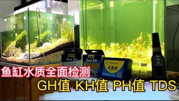 魚缸水草發(fā)黃爛葉怎么辦，如何正確給水草施肥