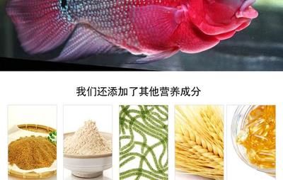 羅漢魚(yú)飼料成分對(duì)比，羅漢魚(yú)飼料成分對(duì)魚(yú)類(lèi)生長(zhǎng)的影響