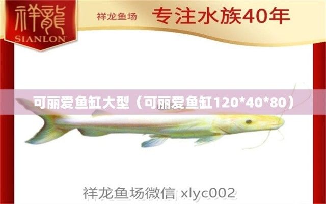 可麗愛魚缸型號系列大全圖片，可麗愛魚缸與其他品牌的比較可麗愛魚缸用戶評價匯總